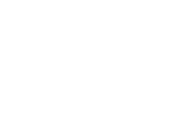 safariland-logo