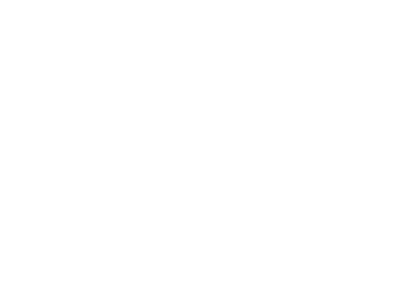 SureLock Logo